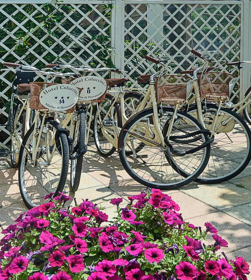 Hotel Coluccini Marina di Pietrasanta Exterior foto